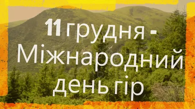 Від локальної традиції до глобальної солідарності